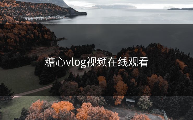 糖心vlog视频在线观看