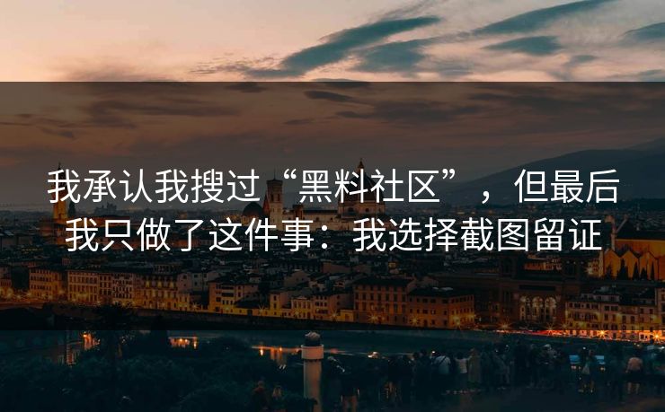 我承认我搜过“黑料社区”，但最后我只做了这件事：我选择截图留证