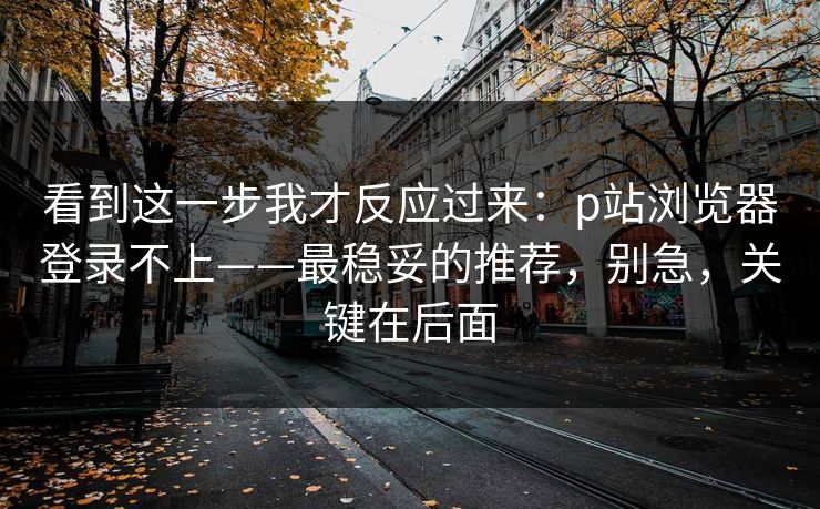 看到这一步我才反应过来：p站浏览器登录不上——最稳妥的推荐，别急，关键在后面