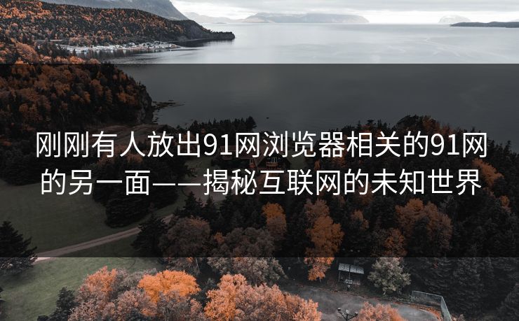 刚刚有人放出91网浏览器相关的91网的另一面——揭秘互联网的未知世界